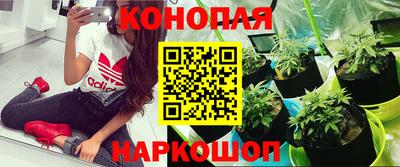 a pvp Усть-Джегута