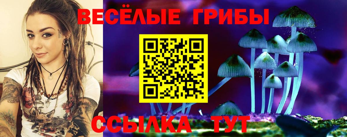 Михайловск  Псилоцибиновые грибы прущие грибы  Псилоцибиновые грибы MAGIC MUSHROOMS  Вход с VPN 