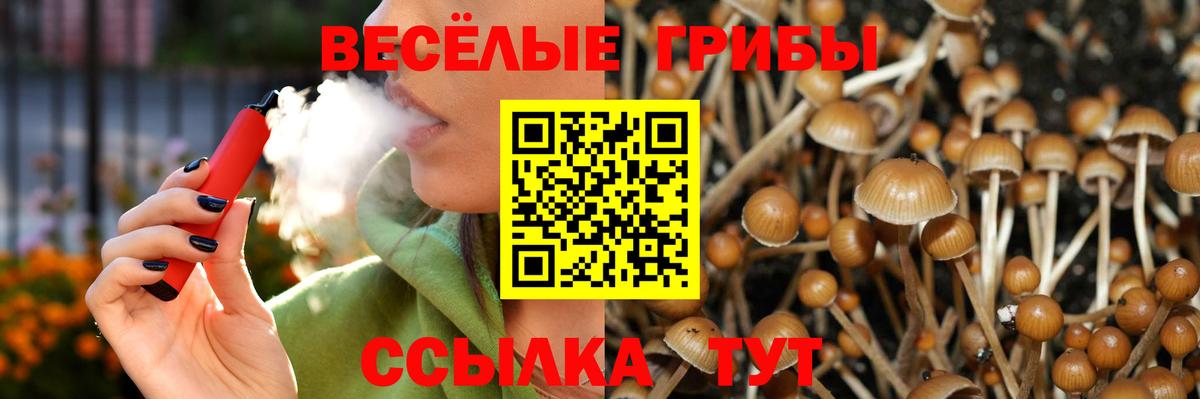 Галлюциногенные грибы мухоморы Михайловск